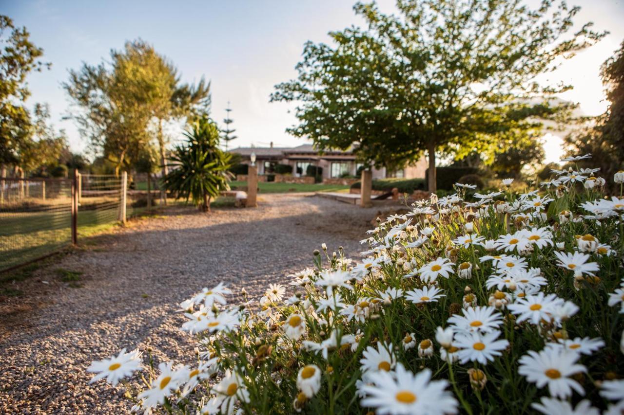 Agroturismo Can Pere Rei Son Serra de Marina Bagian luar foto