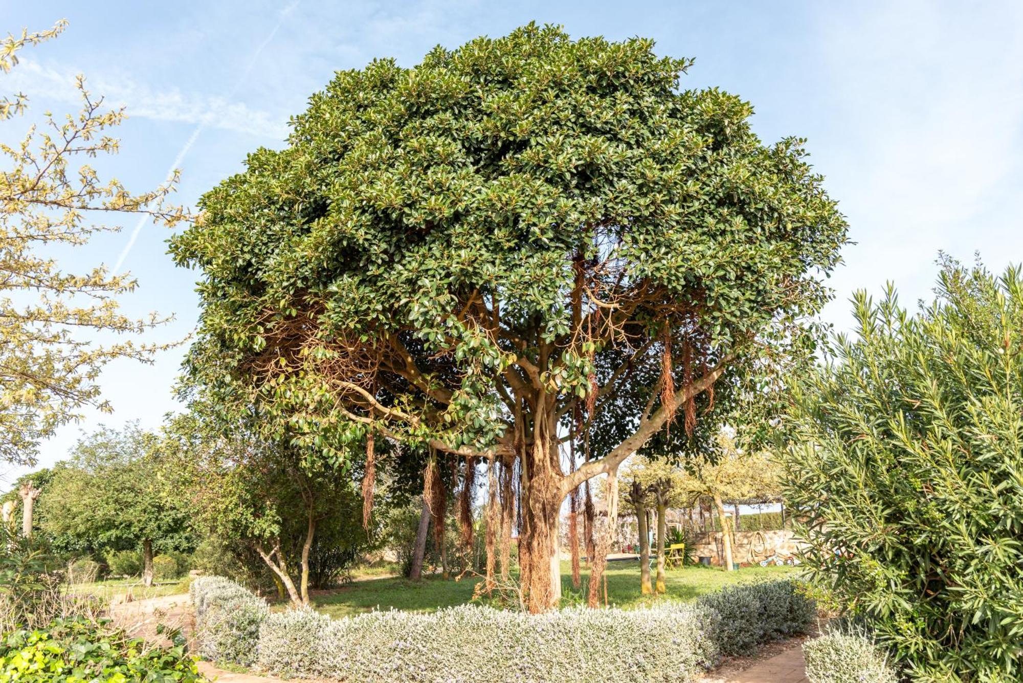 Agroturismo Can Pere Rei Son Serra de Marina Bagian luar foto